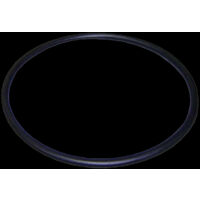 O-Ring der Vorfilterabdeckung der Astralpool-Pumpen.
