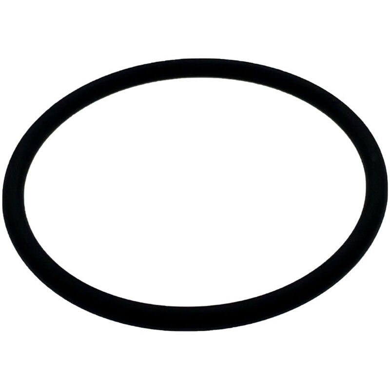 Joint torique électrode cellule pour électrolyseurs au sel Zodiac R0738500