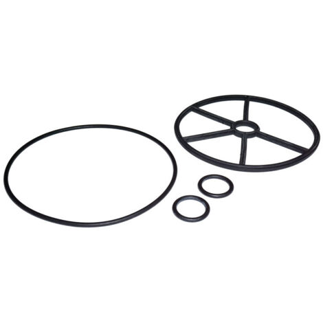 Astralpool – Jeu de joints pour vanne multivoies 1½' – 1 joint couvercle, 1 joint étoile, 2 joints axe – Compatible modèles 00599/00597/00598