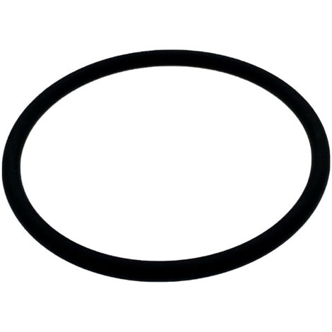 Joint torique électrode cellule pour électrolyseurs au sel Zodiac R0738500