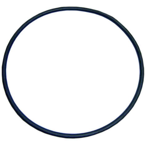 Astralpool – Joint torique pour couvercle préfiltre pompe piscine Alaska – 118mm de diamètre, 4mm d'épaisseur – Étanchéité optimale contre fuites