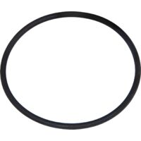 Joint pour WC – Préfiltre pour pompe Espa Silen S – Résistant au chlore et produits chimiques – Évite les fuites d'eau