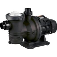 Pompe piscine Aquasphere SSP 100 M