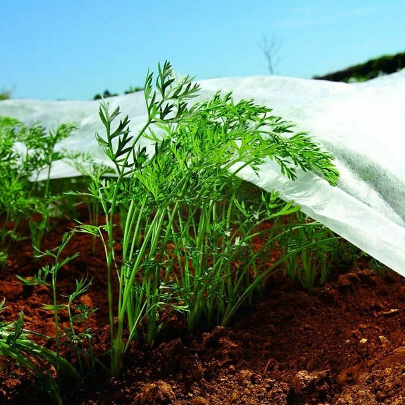 Tela De Protección para cultivosbobina 2x20m 17grm² biotop garden bobina protectora antiheladas todo tipo plantas y arbustos. 2 metros 20 e374662