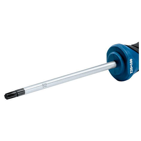 BOSCH 1600A01V0D Destornillador Torx TX25x100 Professional