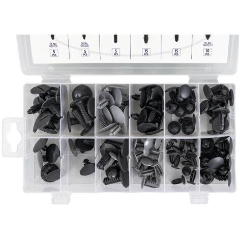 ESTUCHE DE CLIPS PEUGEOT/CITROËN 110 PCS PARA TAPICERÍA JBM 53715 (1/4)