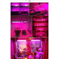 Barras de luz LED para cultivo de plantas de interior Lámpara de cultivo de plantas con tira de luz de crecimiento de espectro rojo / azul con potencia de tubo de crecimiento de 29 cm +1 pieza de cable de conexión de doble cabeza + cable de enchufe europe