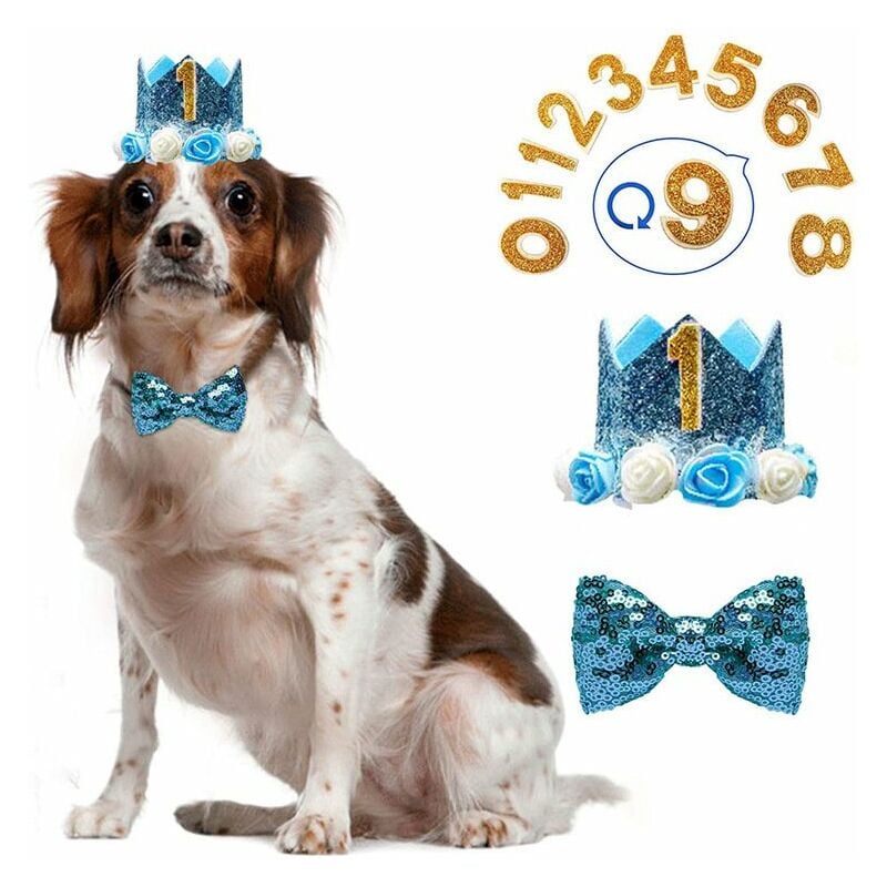 Cumpleaños de perro, sombrero de cumpleaños para perro, conjunto de pajarita, conjunto de sombrero para perros y gatos, decoraciones para fiestas de cumpleaños de mascotas, regalo de cumpleaños para mascotas, cachorro, gatito