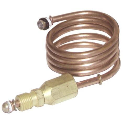 Rallonge de thermocouple (L600mm - raccord M9 x F9) - SIT : 0 218 101 (1/2)