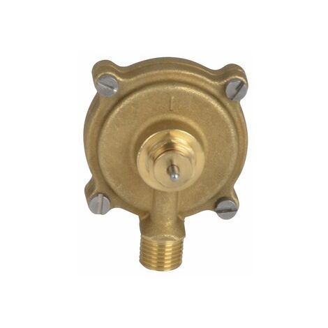 Pressostat pompe Luna Duo - Chappee