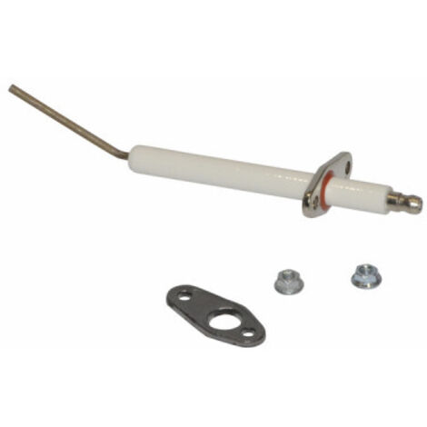 Electrode ionisation - RENDAMAX : 64202636