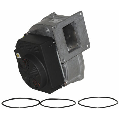 Ventilateur complet ebm g1g170 - ATLANTIC : 060438 (1/5)