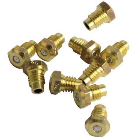 Elm Leblanc – Injecteur veilleuse Ø0,25 (lot de 10) – Embout pour chaudière – Installation professionnelle recommandée – Usage sécurisé - 87082003270 (1/3)