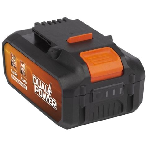 Batterie Dual Power 2,5 Ah et 5,0 Ah de 2x20 V POWDP9037 - pour Outils de Bricolage sans Fil de 20 V et 40 V - LED d'Indication de Puissance - Plateforme de Batterie