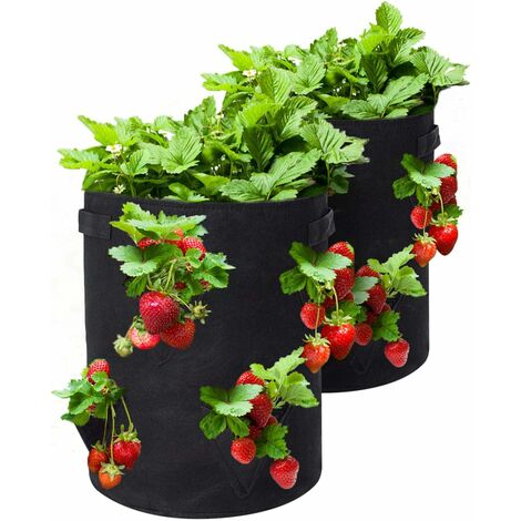 Pflanzsack 3 Stück 30L aus Vliesstoff Tomaten und Erdbeeren Wiederverwendbar Pflanzbehälter Garten Wachsende Tasche,Atmungsaktive Pflanztaschen Pflanzentasche für Kartoffeln Pflanzensack 
