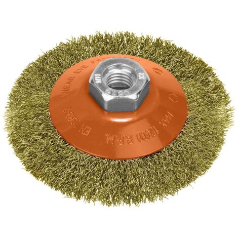 Cepillo Oblicuo Con Alambre De Acero Latonado Rosca M14, Ø 100 mm. Alambre de Ø 0,30 mm. (1/5)