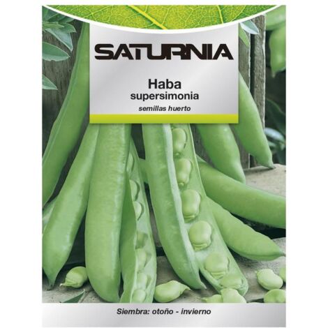 SATURNIA semillas huerto habas , Semillas huerto habas- Planta cultivada por sus largas vainas que contienen semillas grandes y aplanadas, muy apreciadas para el consumo en l