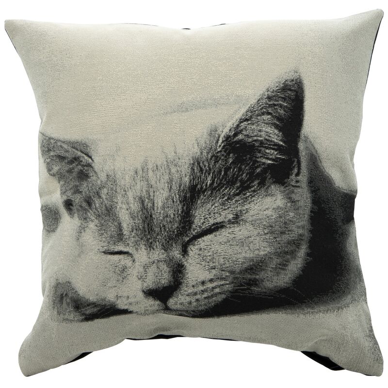 Di.mo Casa Collection gatito 45 cm largo x ancho muebles kitty con funda 45x45