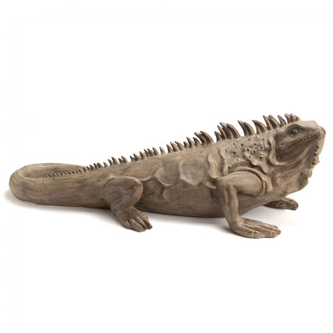 Amadeus - Iguane Colorado 95 cm (1/3)
