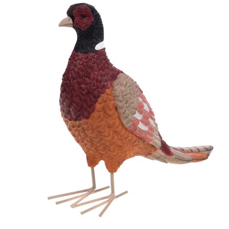Amadeus - Faisan coloré 24,5 cm (1/2)
