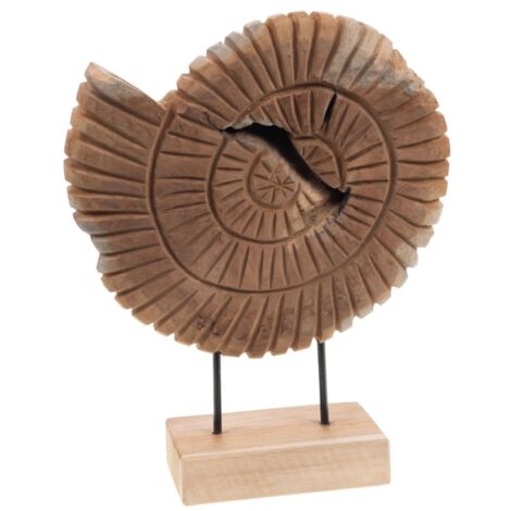Amadeus - Décoration coquillage en bois (1/2)