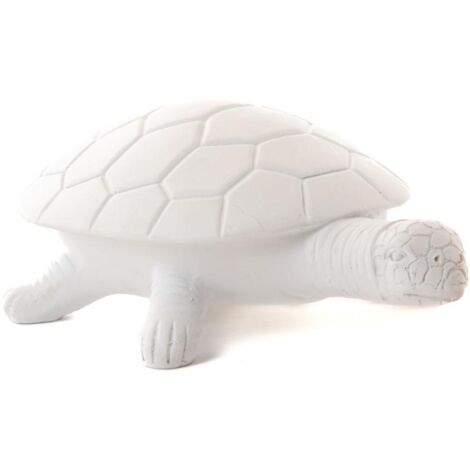 Amadeus - Tortue Blanche (1/2)