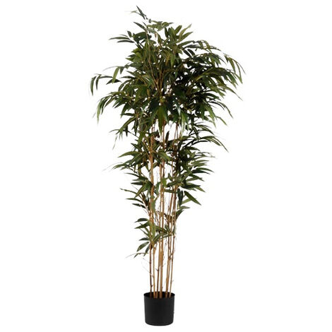 Amadeus - Bambou 218 cm