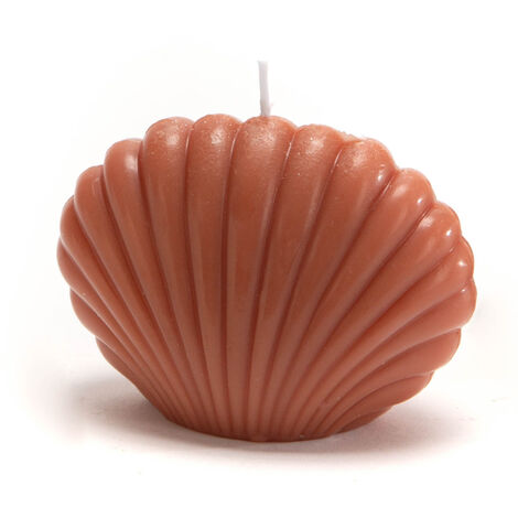 Amadeus - Bougie coquillage Terra (lot de 8) (1/2)