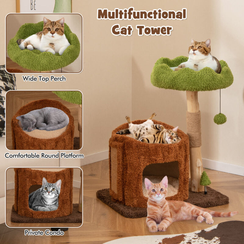 petsmart cat trees in store