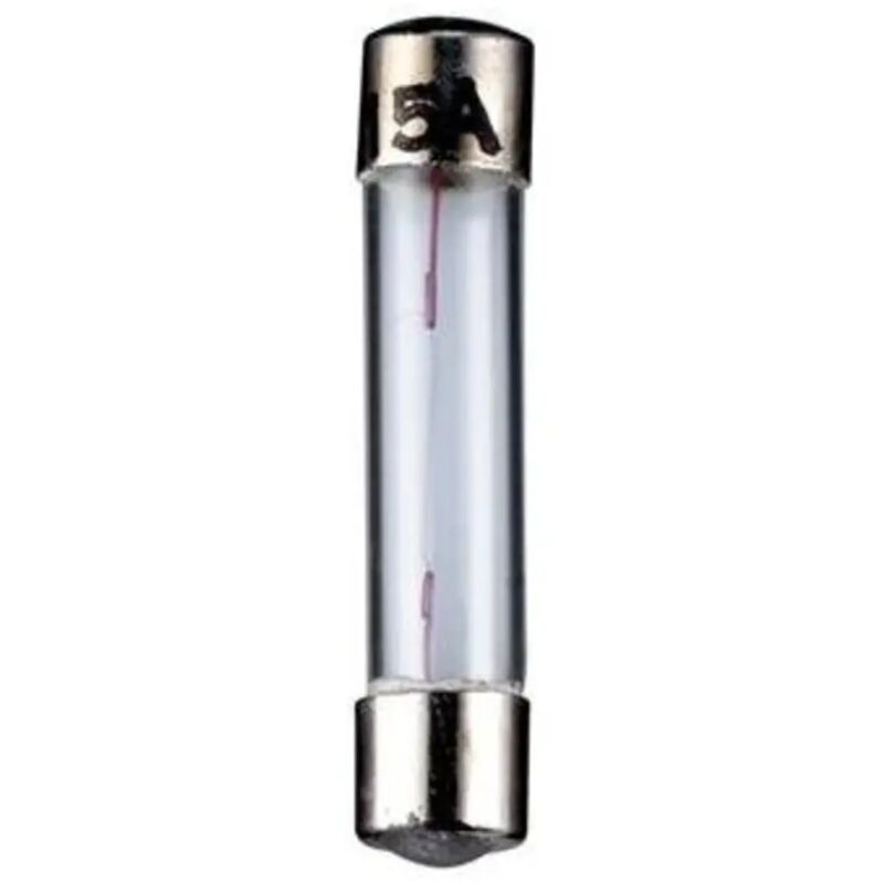 Spahn Lampadine Tubolari 6V 5W Attacco S8,5 11x36 Mm - Confezione Da 10 Pezzi