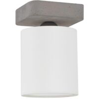 Plafonnier en Béton Gris Abat jours Blanc Cylindrique 1 Tête GREAT