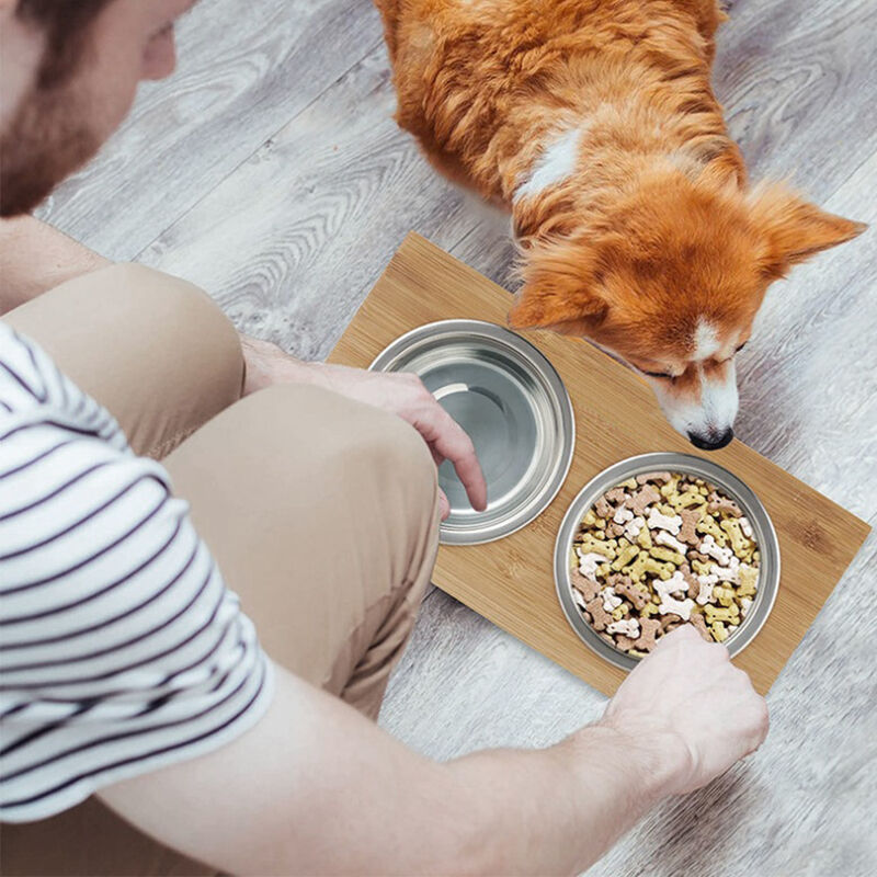 Ciotole per Cani Rialzate Ceramica - Ciotola Cane con Supporto Anti Schizzo  - Ciotola Doppia Gatto Cane Antiscivolo - Scodelle Cibo Acqua per Cani di