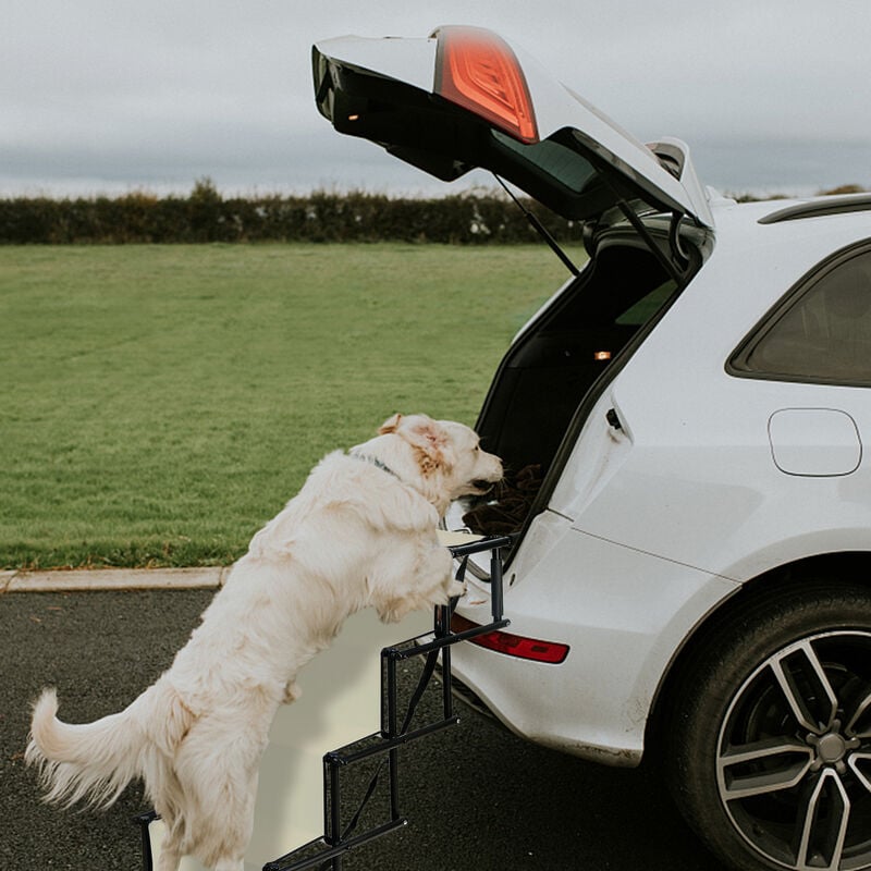 Haloyo Rampa per Cani Fino a 75 kg,aiuto per l'imbarco auto,Utilizzabile per  Tutti i Veicoli,101 x 76 x 47 cm,beige