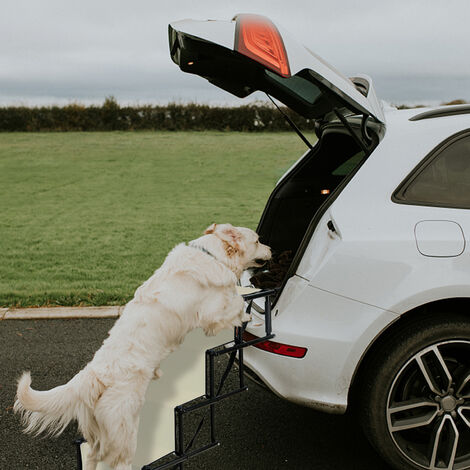 Haloyo Rampa per Cani Fino a 75 kg,aiuto per l'imbarco auto,Utilizzabile  per Tutti