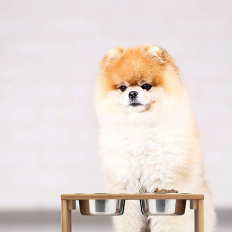 Ciotola Per Gatti Karlie Flamingo Simon's Cat - Ceramica, Diametro 14.5 Cm - Foto 11