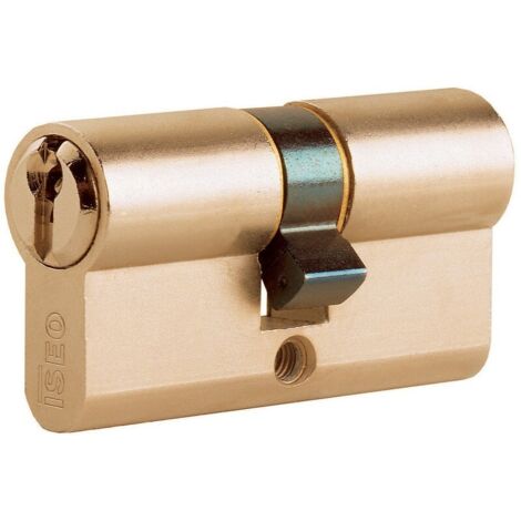 Iseo 8209.30.30 cylindre double profil 60 mm (30 + 30) laiton 3 clA s (1/3)