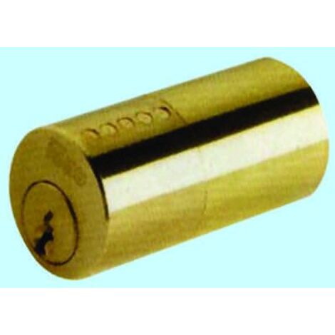 Iseo Serrature – Cylindre de serrure détaché 26mm – 3 clés fournies – Matériau laiton – Pour serrure électrique 510 – Sécurité renforcée pour portes en bois