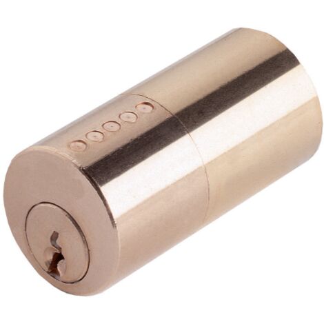 Iseo Serrature – Cylindre de serrure fixe 26mm x 50mm – 3 clés fournies – Type à appliquer pour sécuriser portes – Compatible avec divers modèles - ART 852 A
