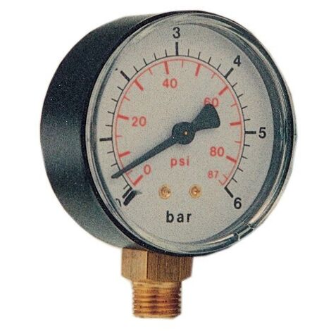 Manomètre pour électropompes autoclaves - Salon (1/3)