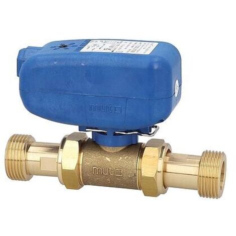 Vanne à bille électrique MUT TMO 2 voies, commande SPST 230 V, DN 25(1") FE (1/3)
