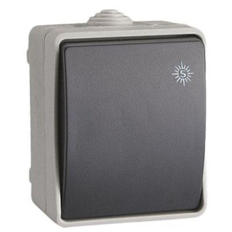 Interruptor Doble de Superficie IP54 Gris • IluminaShop