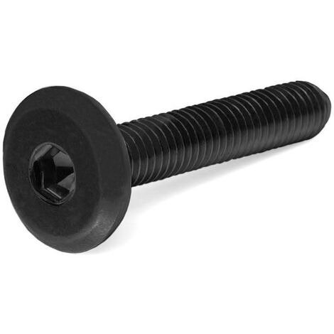 tornillo cegas cabeza plana allen negro largo 30mm diámetro 6mm