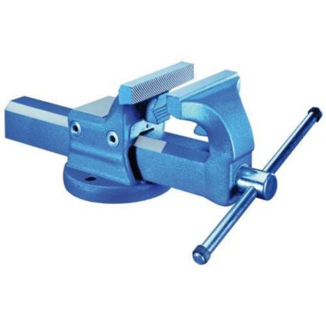 KANCA 60205020100 TORNILLO DE BANCO FORTISSIMOFIX DE 100 MM (1/2)