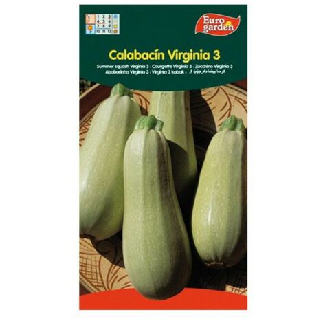 semillas fito horticolas calabacin virginia 3 00029 (caja 10 unidades)