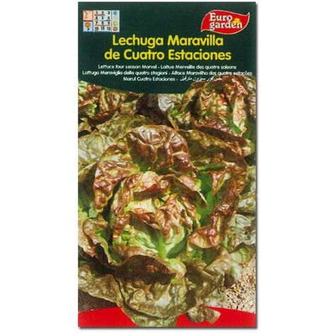 semillas fito horticolas lechuga maravilla 4 estaciones 00211 (caja 10 unidades)