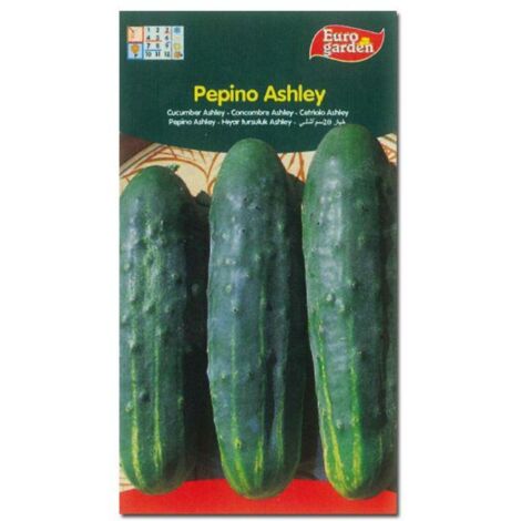 semillas fito horticolas pepino ashley 00234 (caja 10 unidades)