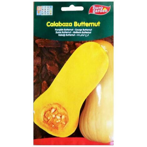 semillas fito horticolas calabaza butternut 06428 (caja 10 unidades)