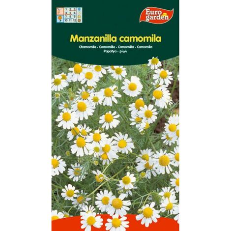 SEMILLAS FITO AROMATICAS MANZANILLA (CAMOMILA)=00648
