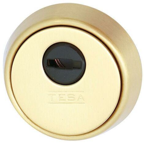 TESA escudo cerrado cerradura seg.e700l26lm laton mate , 0UNIDADES