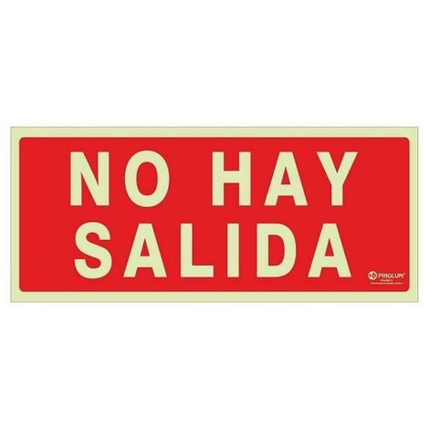 DUVER señal 1026 plastico 297x105 ''no hay salida'' luminescente (1/3)